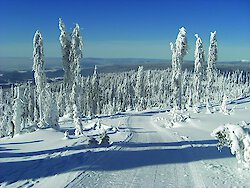 Winterurlaub im Haus Bayerwald